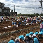 img_4295