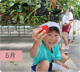 5月