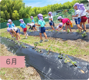 6月